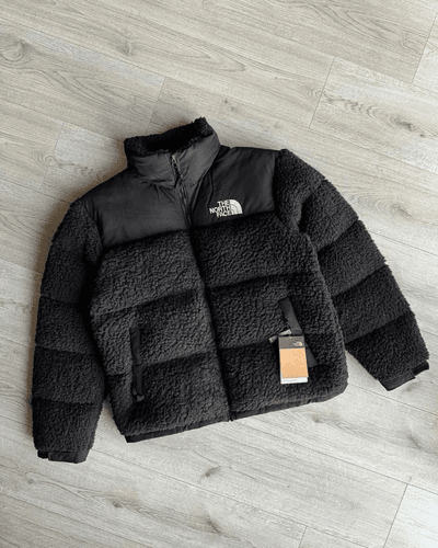 The north face coat 